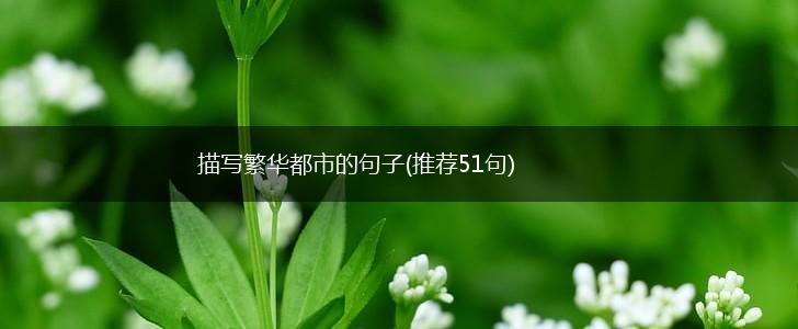 描写繁华都市的句子(推荐51句),第1张