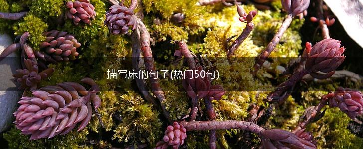 描写床的句子(热门50句),第1张