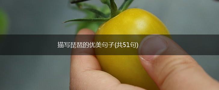 描写琵琶的优美句子(共51句),第1张