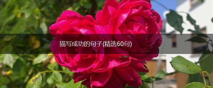 描写成功的句子(精选60句),第1张