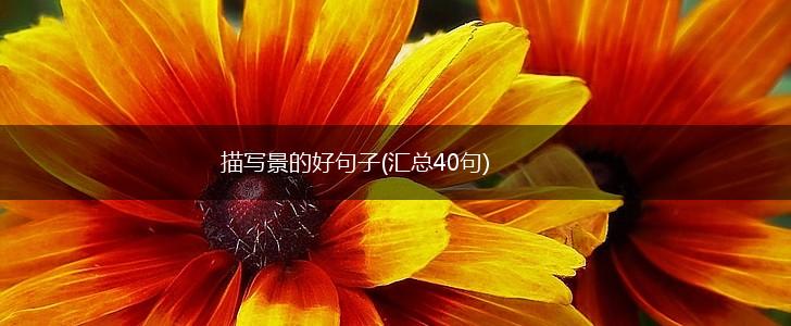 描写景的好句子(汇总40句),第1张
