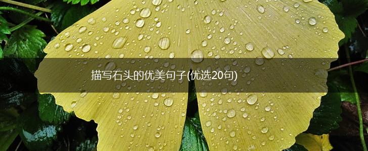描写石头的优美句子(优选20句),第1张