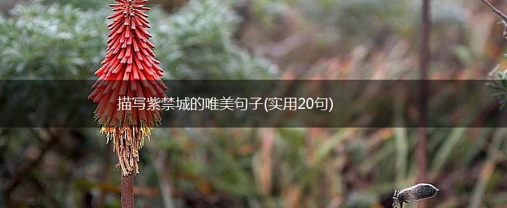 描写紫禁城的唯美句子(实用20句),第1张
