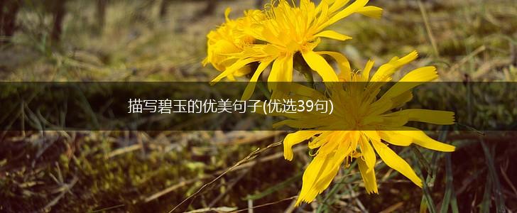 描写碧玉的优美句子(优选39句),第1张
