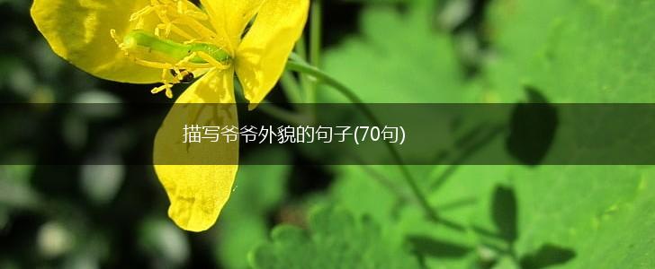描写爷爷外貌的句子(70句),第1张