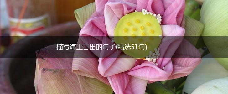 描写海上日出的句子(精选51句),第1张