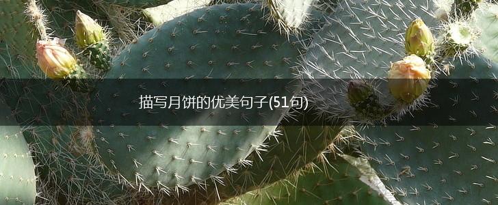 描写月饼的优美句子(51句),第1张
