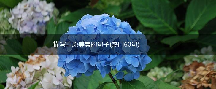 描写草原美景的句子(热门60句),第1张