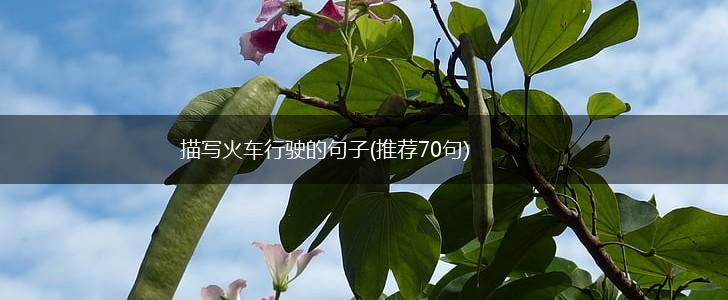 描写火车行驶的句子(推荐70句),第1张