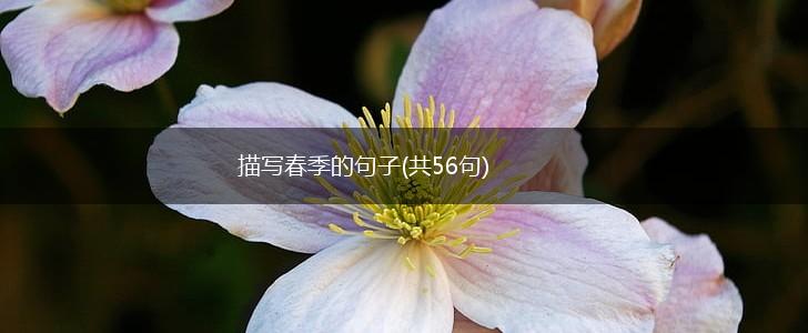 描写春季的句子(共56句),第1张