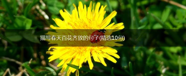 描写春天百花齐放的句子(精选10句),第1张