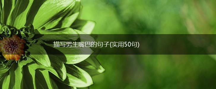 描写男生嘴巴的句子(实用50句),第1张