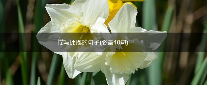 描写拥抱的句子(必备40句),第1张