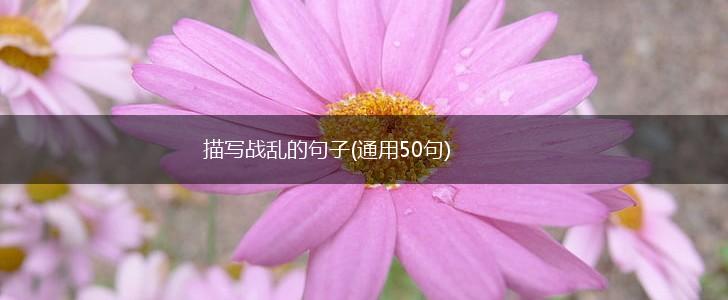 描写战乱的句子(通用50句),第1张
