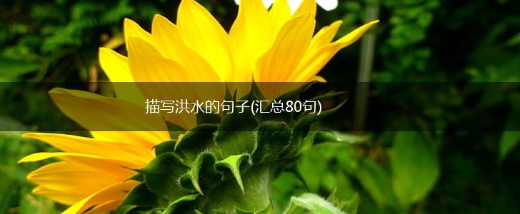 描写洪水的句子(汇总80句),第1张