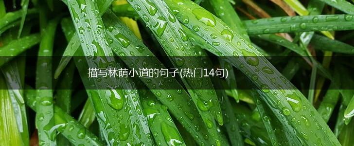 描写林荫小道的句子(热门14句),第1张