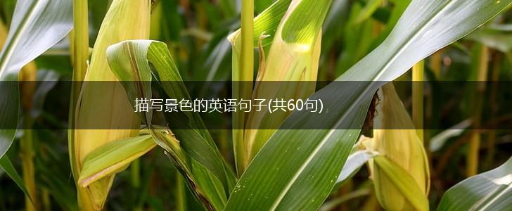 描写景色的英语句子(共60句),第1张