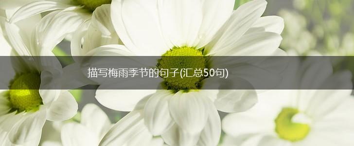 描写梅雨季节的句子(汇总50句),第1张