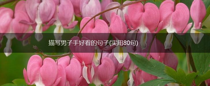 描写男子手好看的句子(实用80句),第1张