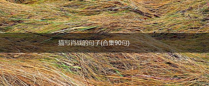描写肖战的句子(合集90句),第1张