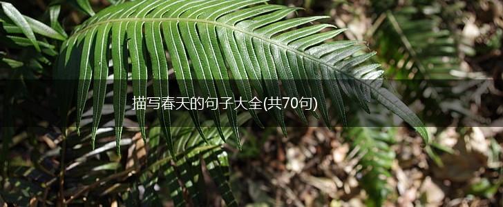 描写春天的句子大全(共70句),第1张