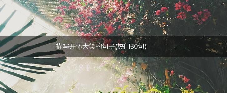 描写开怀大笑的句子(热门30句),第1张