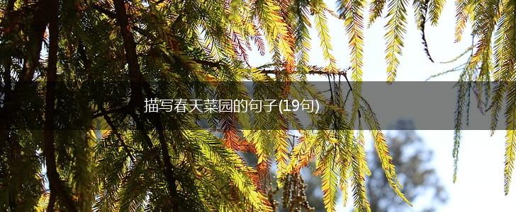描写春天菜园的句子(19句),第1张