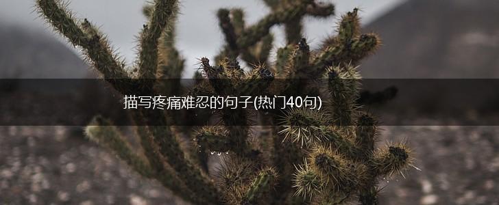 描写疼痛难忍的句子(热门40句),第1张