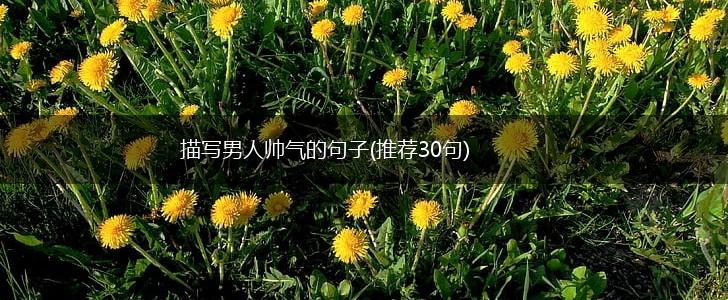 描写男人帅气的句子(推荐30句),第1张