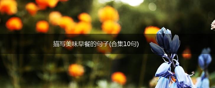 描写美味早餐的句子(合集10句),第1张