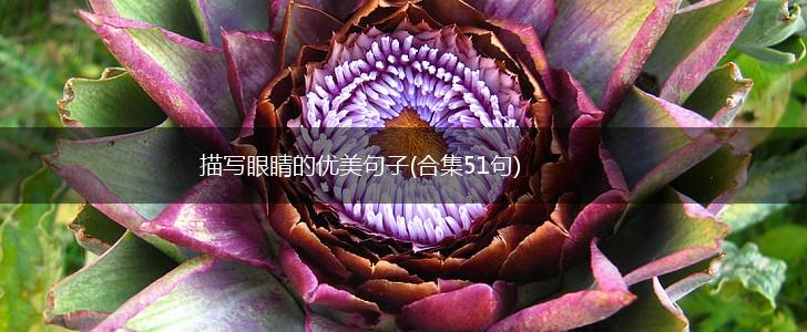 描写眼睛的优美句子(合集51句),第1张