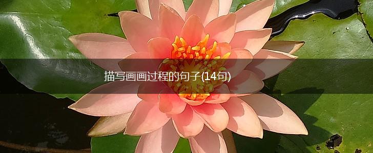 描写画画过程的句子(14句),第1张