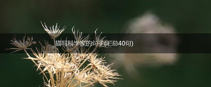 描写科学家的句子(汇总40句),第1张