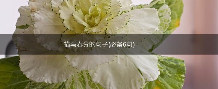描写春分的句子(必备6句),第1张