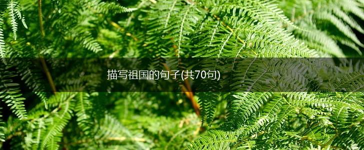 描写祖国的句子(共70句),第1张