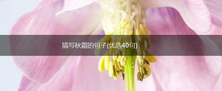 描写秋霜的句子(优选40句),第1张