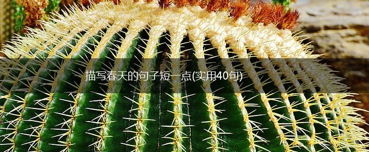 描写春天的句子短一点(实用40句),第1张