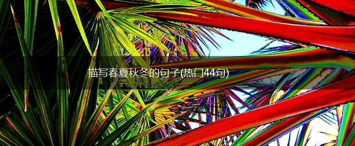 描写春夏秋冬的句子(热门44句),第1张