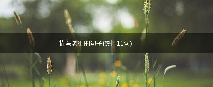 描写老街的句子(热门11句),第1张