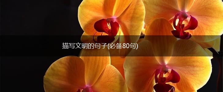 描写文明的句子(必备80句),第1张