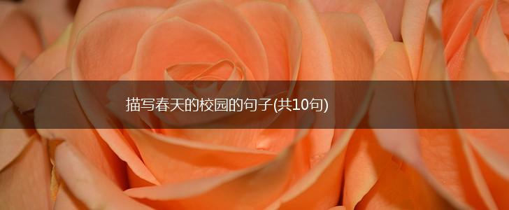 描写春天的校园的句子(共10句),第1张