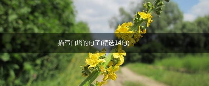 描写白塔的句子(精选14句),第1张