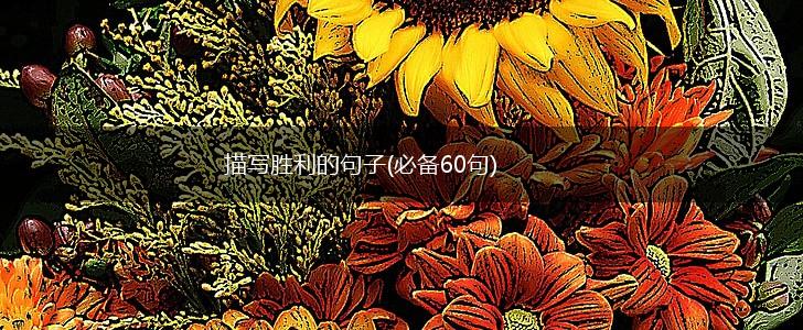 描写胜利的句子(必备60句),第1张