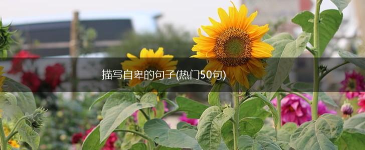 描写自卑的句子(热门50句),第1张