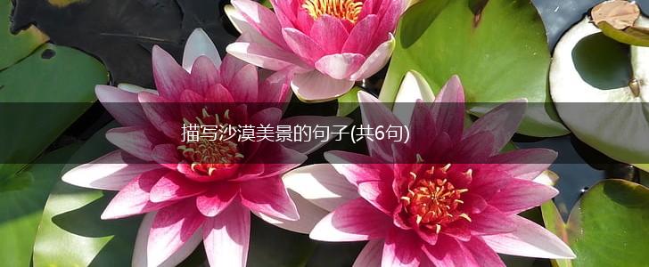 描写沙漠美景的句子(共6句),第1张