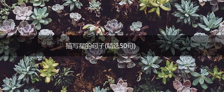 描写星的句子(精选50句),第1张