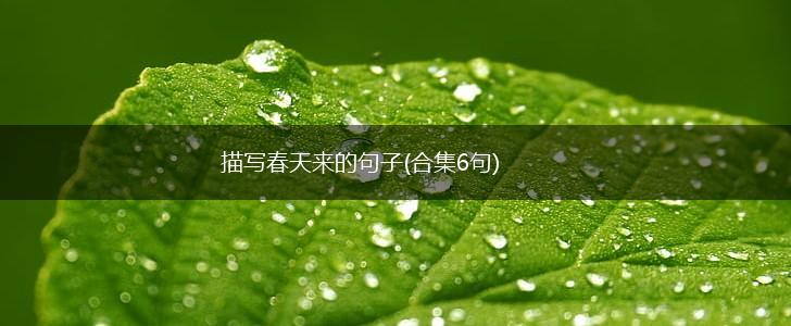 描写春天来的句子(合集6句),第1张