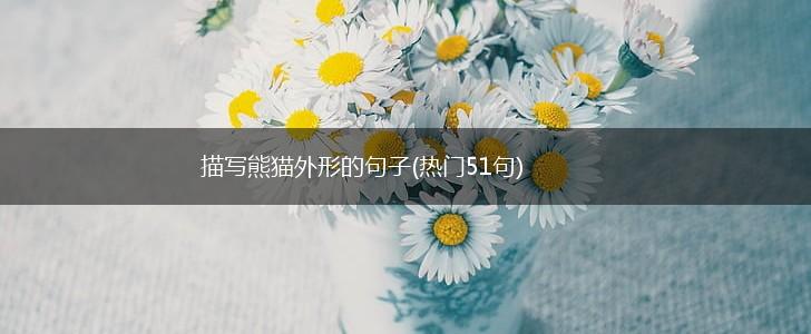 描写熊猫外形的句子(热门51句),第1张