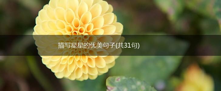 描写星星的优美句子(共31句),第1张