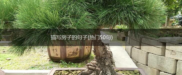 描写房子的句子(热门50句),第1张
